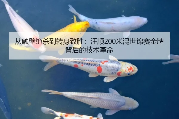 从触壁绝杀到转身致胜：汪顺200米混世锦赛金牌背后的技术革命