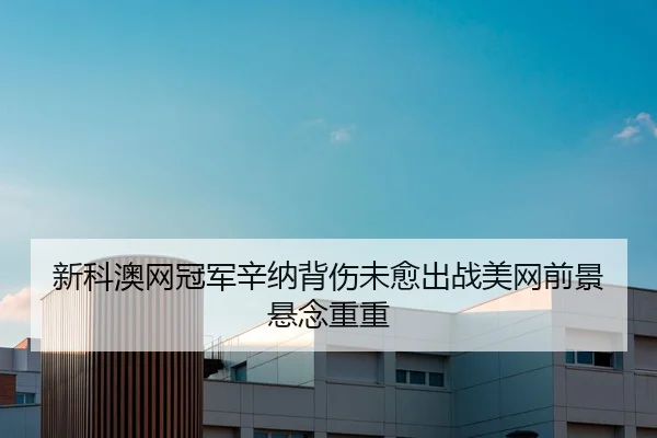 新科澳网冠军辛纳背伤未愈出战美网前景悬念重重
