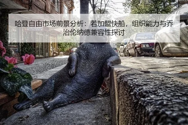 ha-deng-zi-you-shi-chang-qian-jing-fen-xi-ruo-jia-meng-kuai-chuan-zu-zhi-neng-li-yu-qiao-zhi-lun-na-de-jian-rong-xing-2-975.jpg